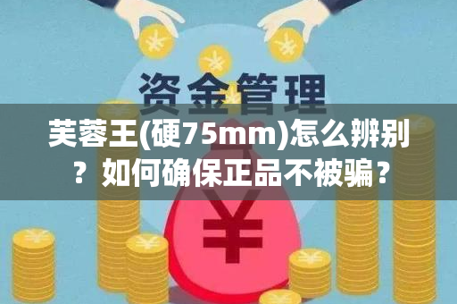 芙蓉王(硬75mm)怎么辨别？如何确保正品不被骗？